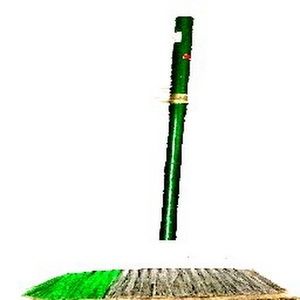 Meet your Posher, Broom